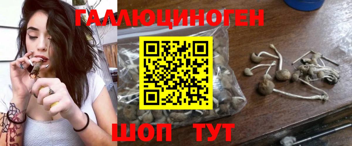 Псилоцибиновые грибы GOLDEN TEACHER Глазов